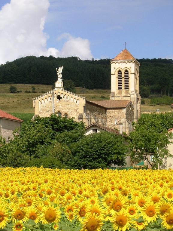 Chambre D'Hotes Tardy Saint-Michel-sur-Savasse Bagian luar foto